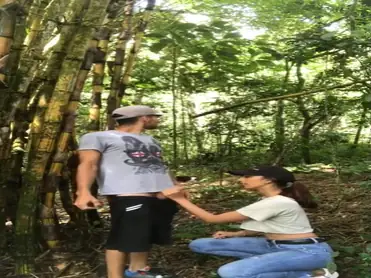 Kebun Bambu Saksi Pasangan Remaja Ngentot Liar